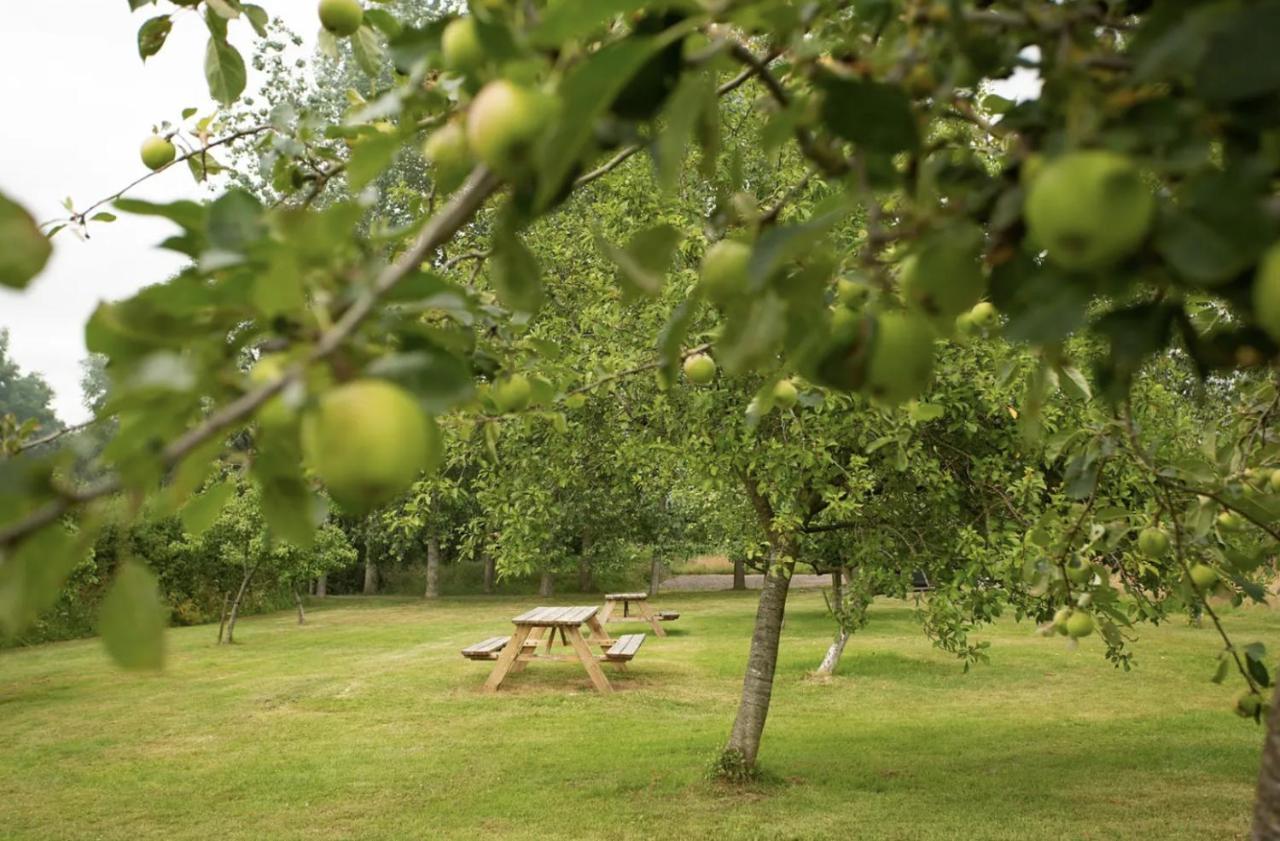 Tall Trees Glamping Baltonsborough Exterior foto